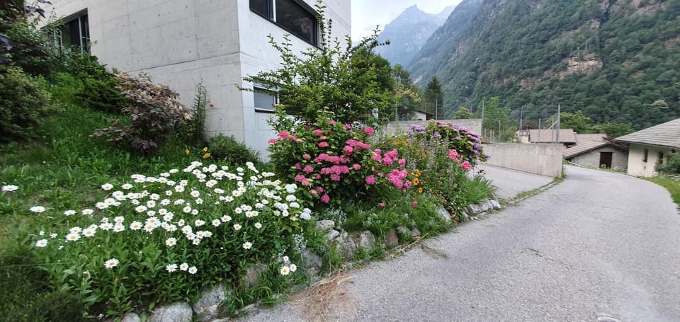 Property building, Garden, Mountain view
