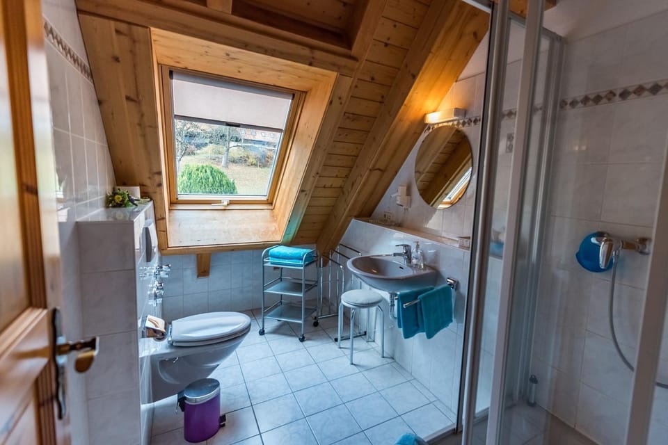 Wiesenglück Apartment in Baden-Württemberg