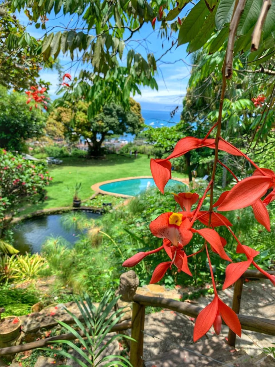 Garden, Garden, Pool view, Swimming pool