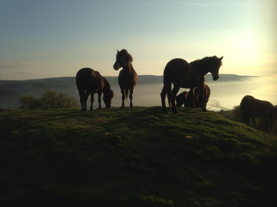 Stones Hotel and Bar Hotel in Minehead