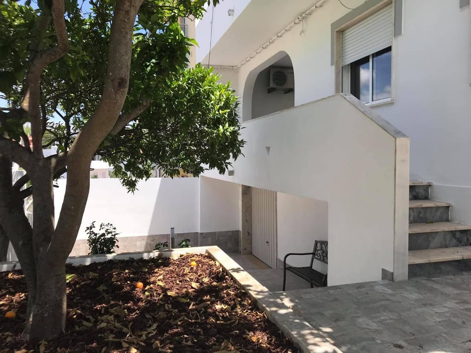 Property building, Garden, Balcony/Terrace