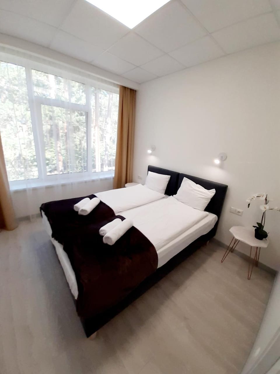 Apartments Daina Apartment in Jūrmala