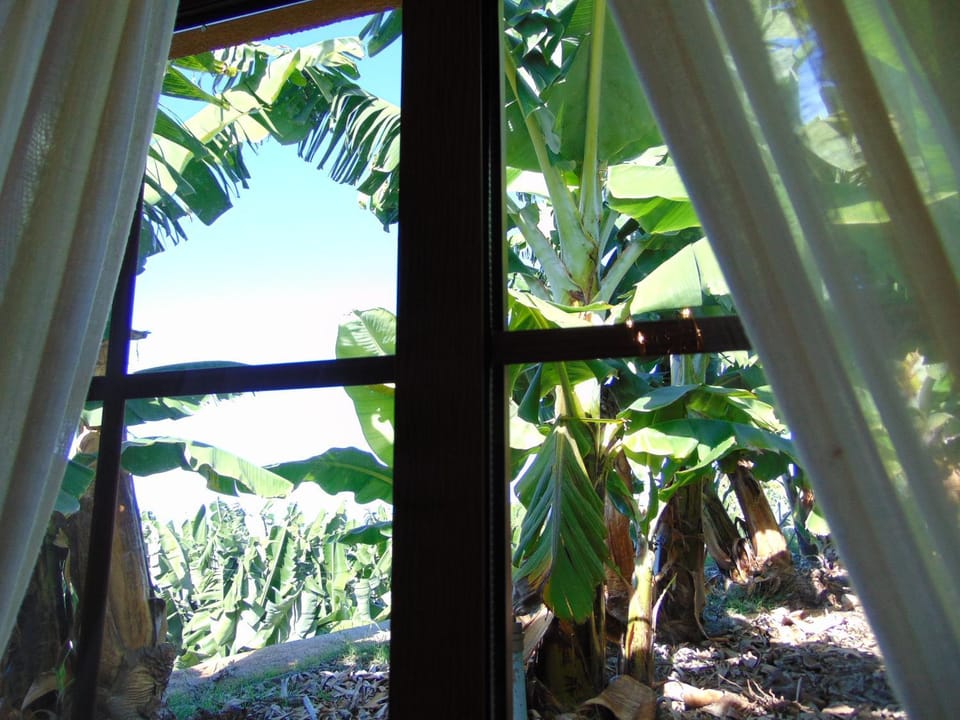 View (from property/room), Garden view