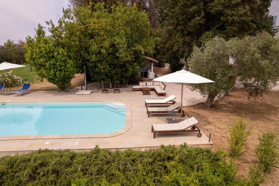 Day, Garden, Garden view, Pool view, Swimming pool, sunbed