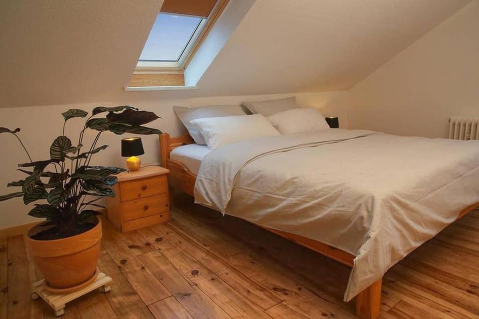 Bed, Photo of the whole room, Bedroom, cot