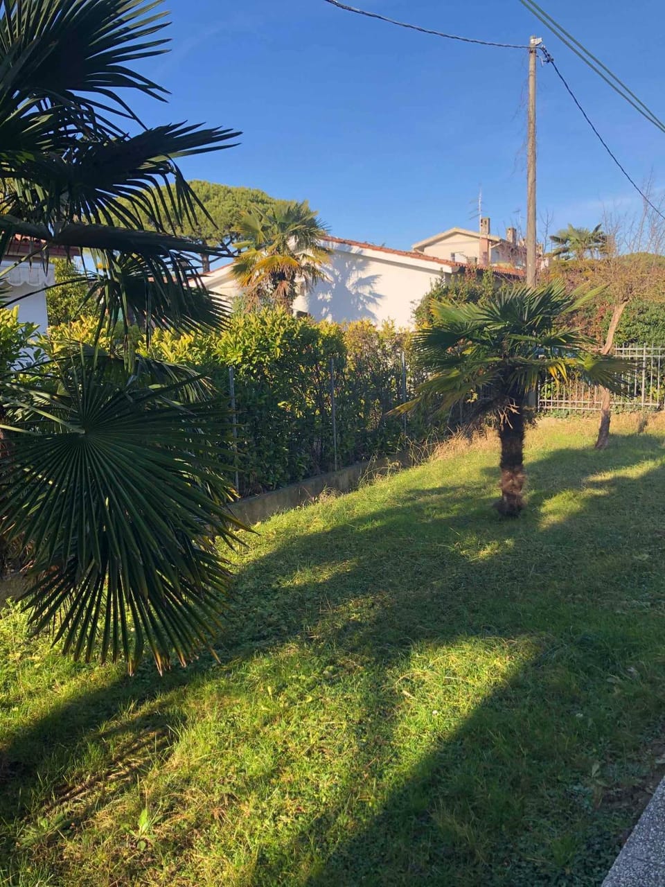 Nearby landmark, Summer, Garden