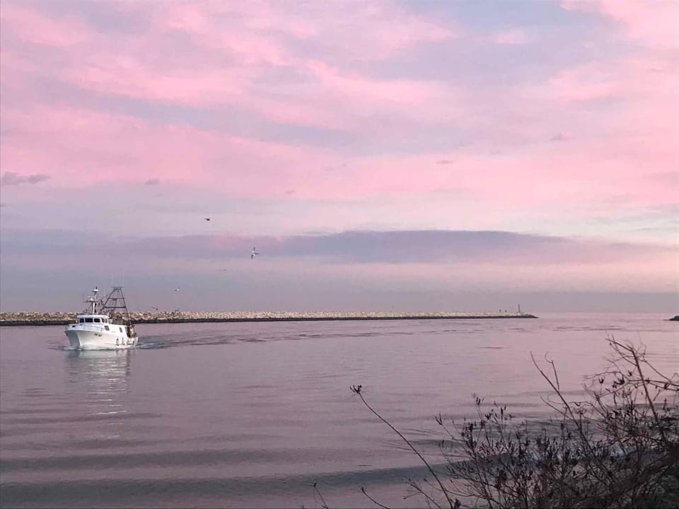 Nearby landmark, Summer