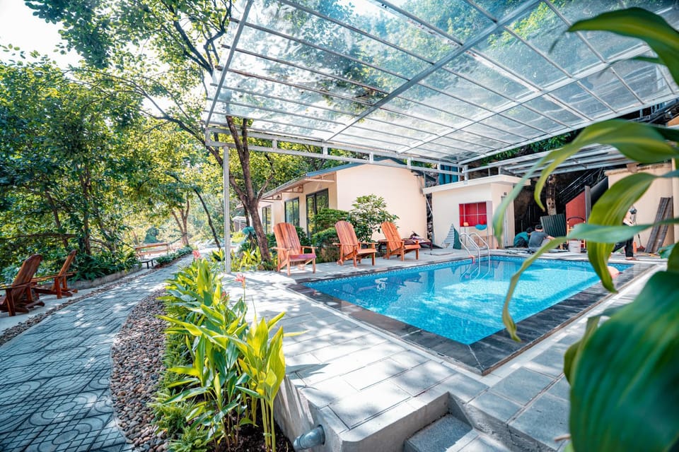 Garden view, sunbed