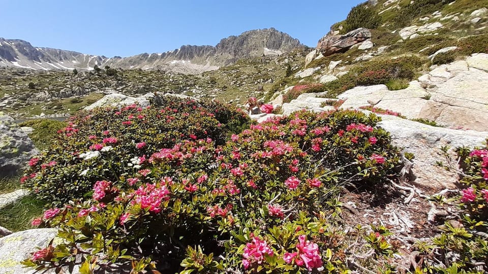 Spring, Natural landscape, Activities