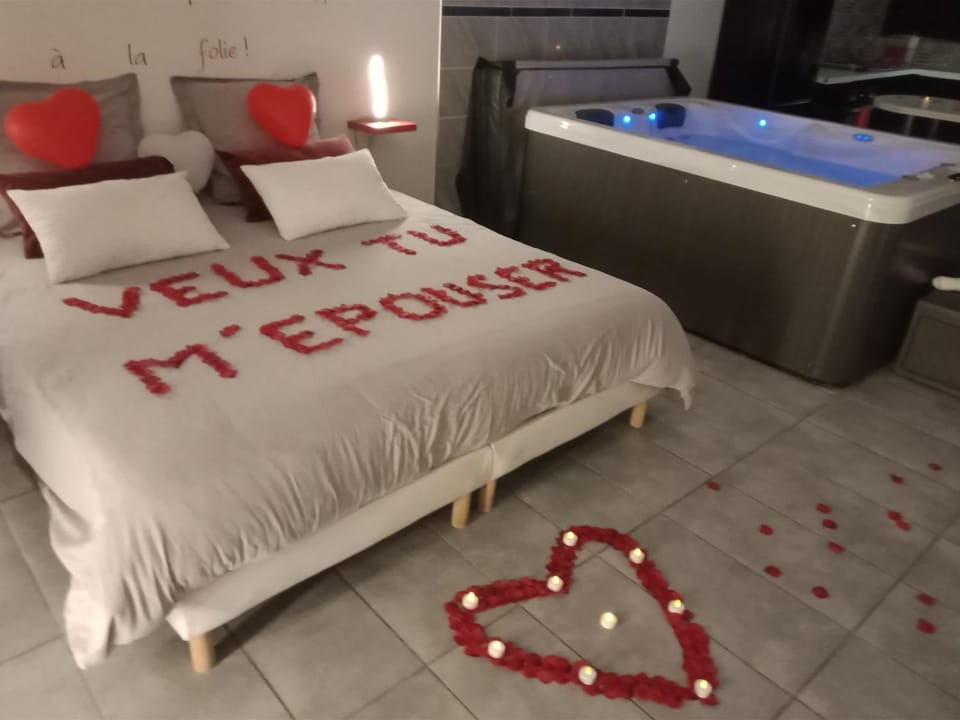 Nuit romantique avec Jacuzzi SPA privatif proche TOULOUSE Apartment in Occitanie