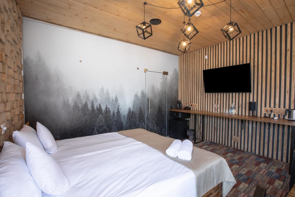 Bed, TV and multimedia, Photo of the whole room