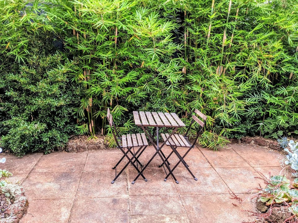 Patio, Garden
