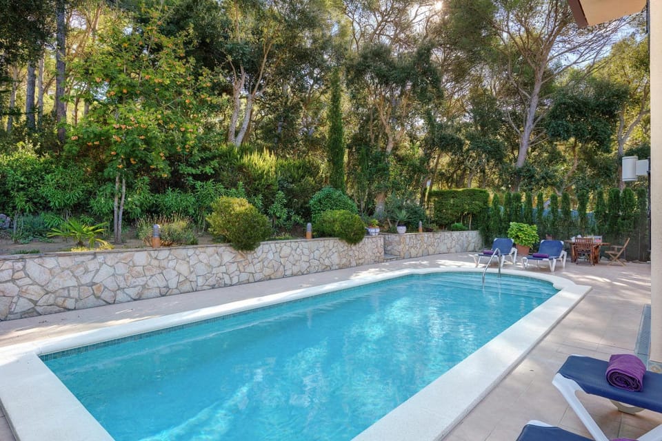 Pool view, Swimming pool