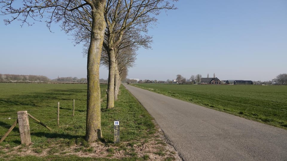 Natural landscape