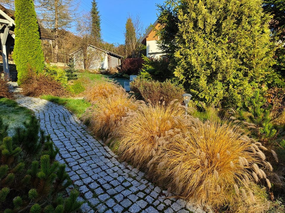 Natural landscape, Garden, Autumn