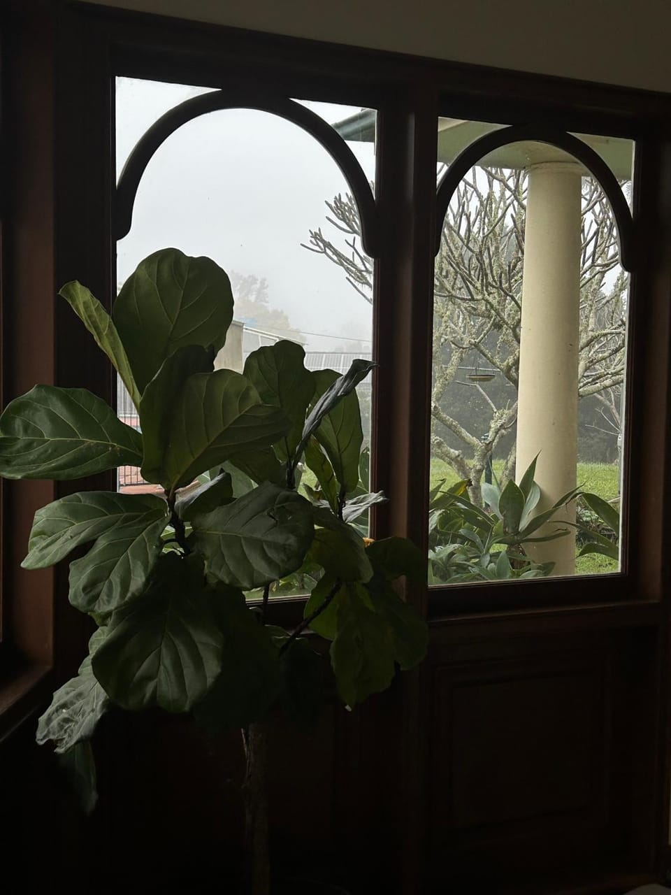 Melville House Bed and Breakfast Bed and Breakfast in Lismore