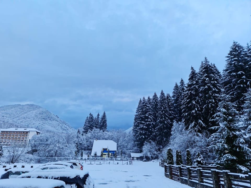 Natural landscape, Winter