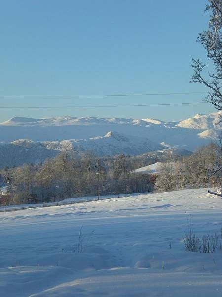 Winter, Mountain view