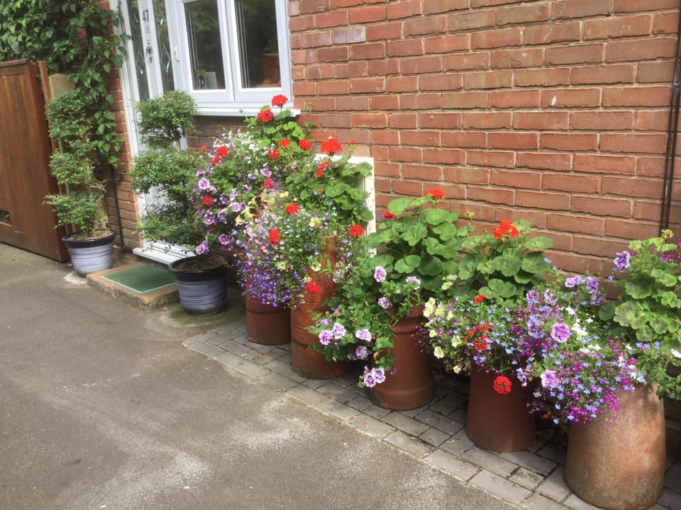 Albertine ,A warm welcome awaits you ,Offering en-suite room only accommodation,Ideal location for Solent Way ,High Street ,Isle of Wight ,New Forest Bed and Breakfast in Lymington