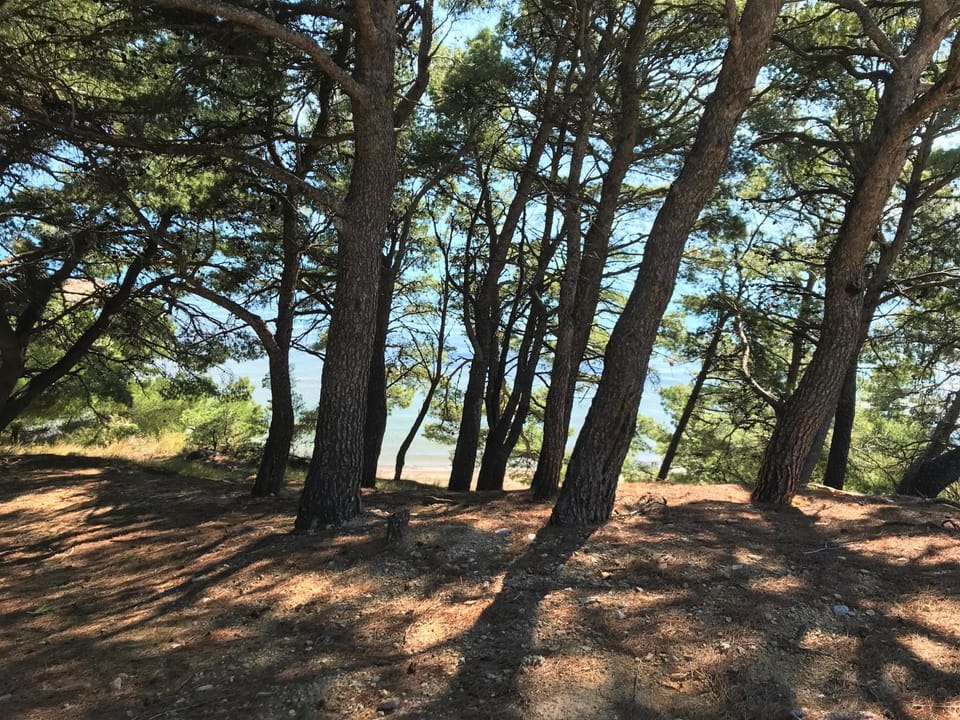 Natural landscape, Garden, Beach, Beach, Sea view