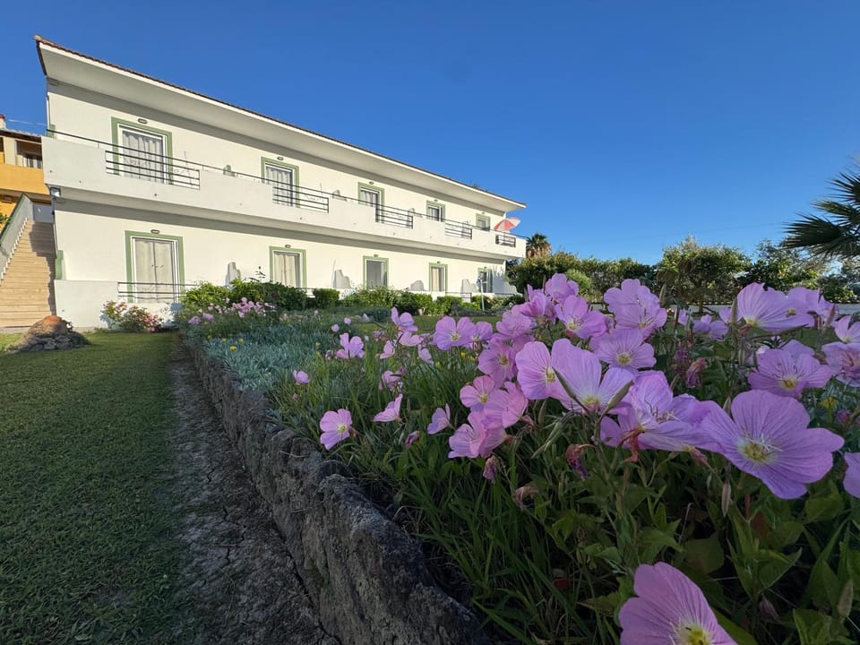 Property building, Day, Garden view