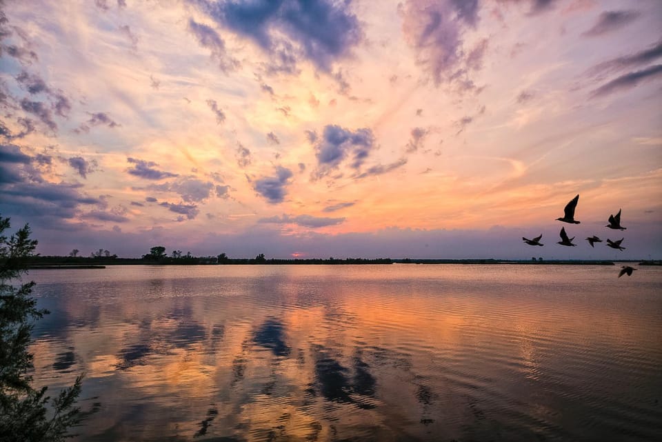 Natural landscape