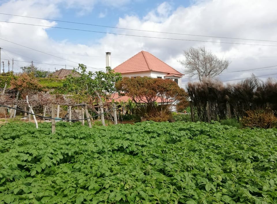 Property building, Natural landscape
