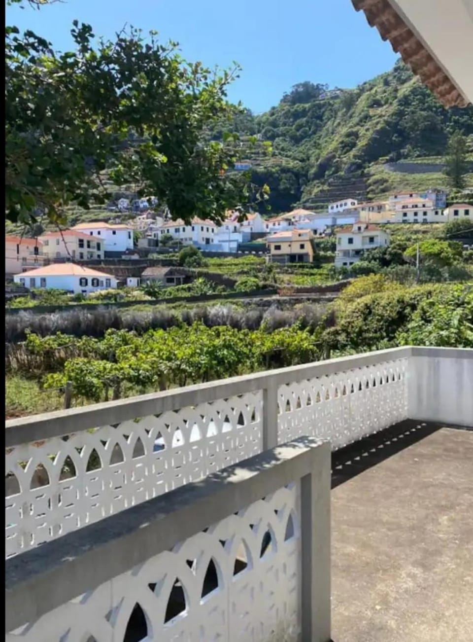 Avó Lucindinha House - Porto Moniz House in Madeira District