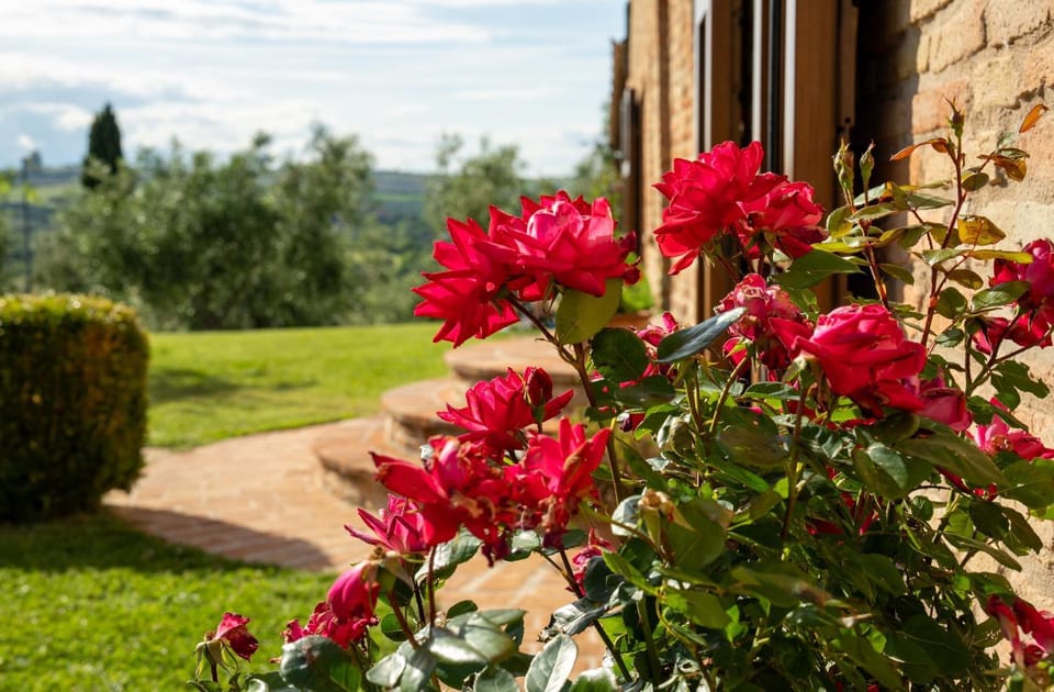 Casalantico Farm Stay in Marche