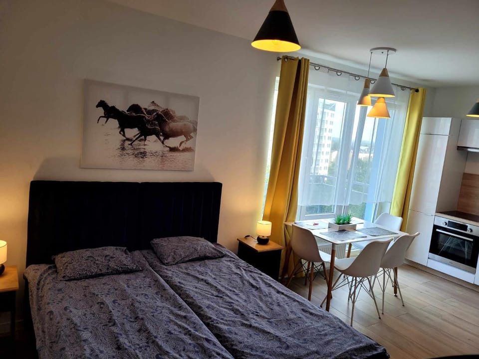 Bm Apartamenty w Centrum Szczecin Apartment in Szczecin