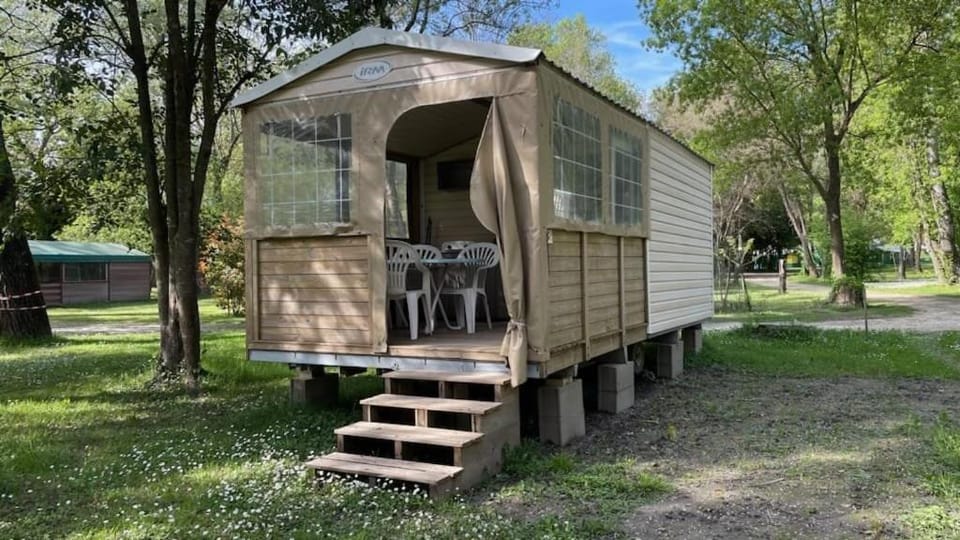 Natural landscape, Garden, Garden view