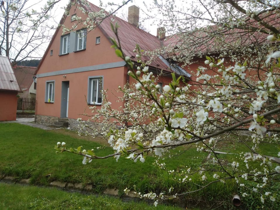 Property building, Spring, Garden