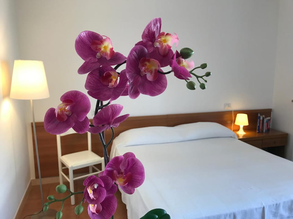Grazioso appartamento a due passi dal mare Apartment in Cervia