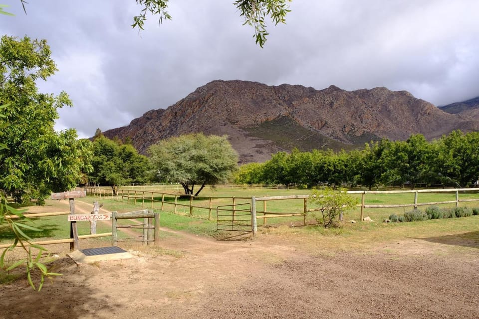 Natural landscape, Garden, On site, Garden view, Landmark view, Mountain view