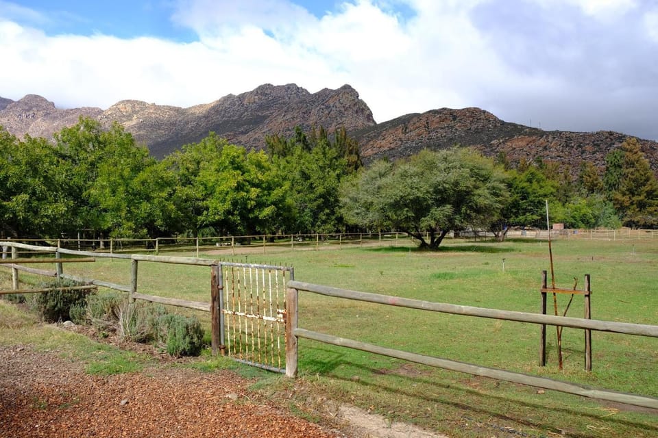 Natural landscape, Garden, Hiking, Garden view, Mountain view