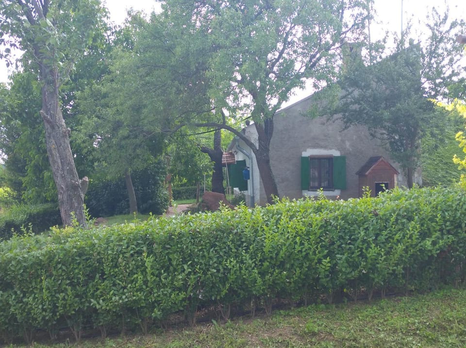 Berkenye-lak House in Hungary