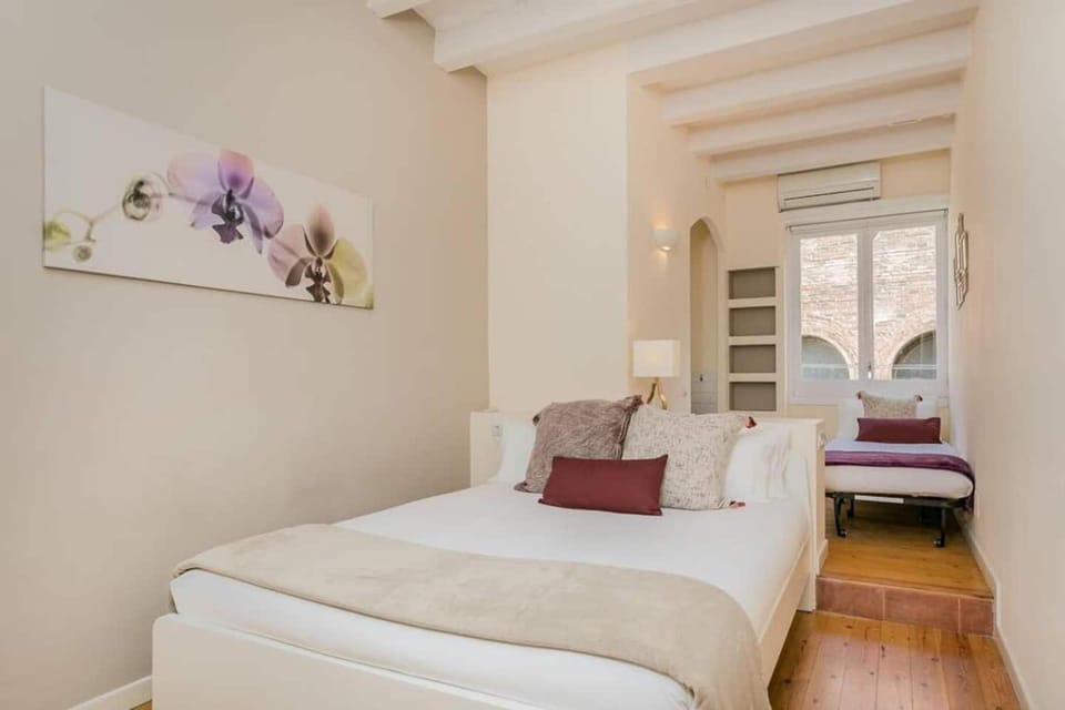 Historical Apartment With Awesome Rooftop Apartment in Barcelona