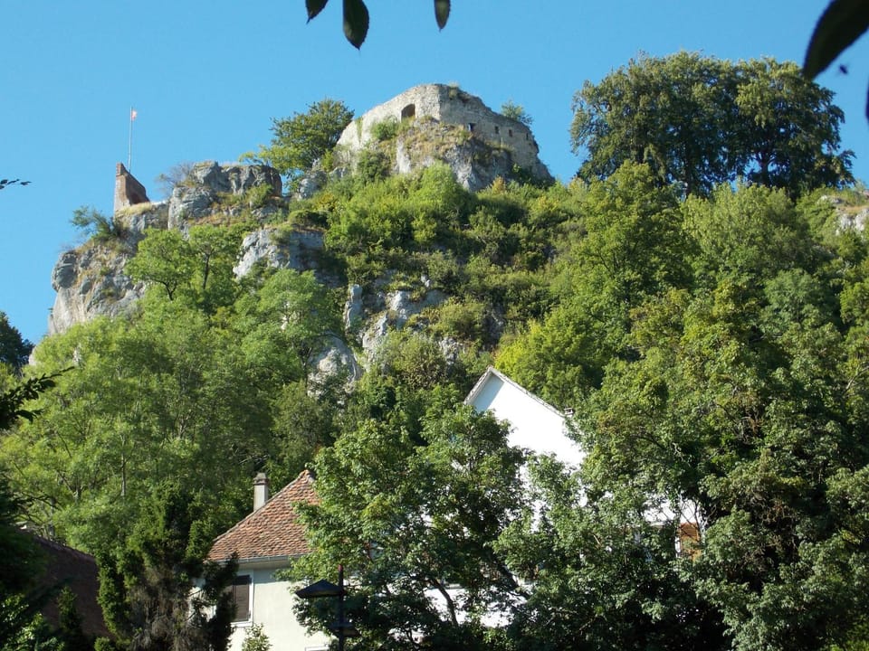 Natural landscape, View (from property/room)