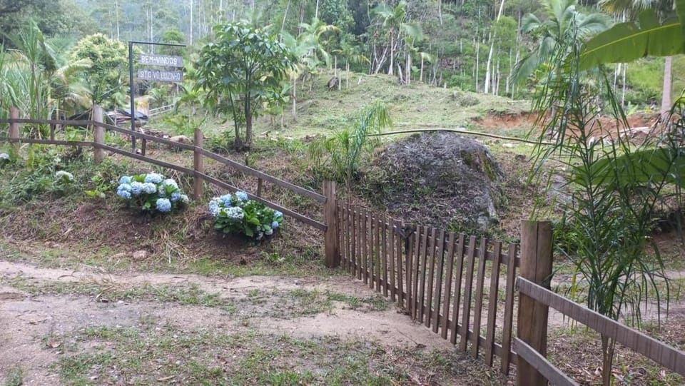 Day, Natural landscape