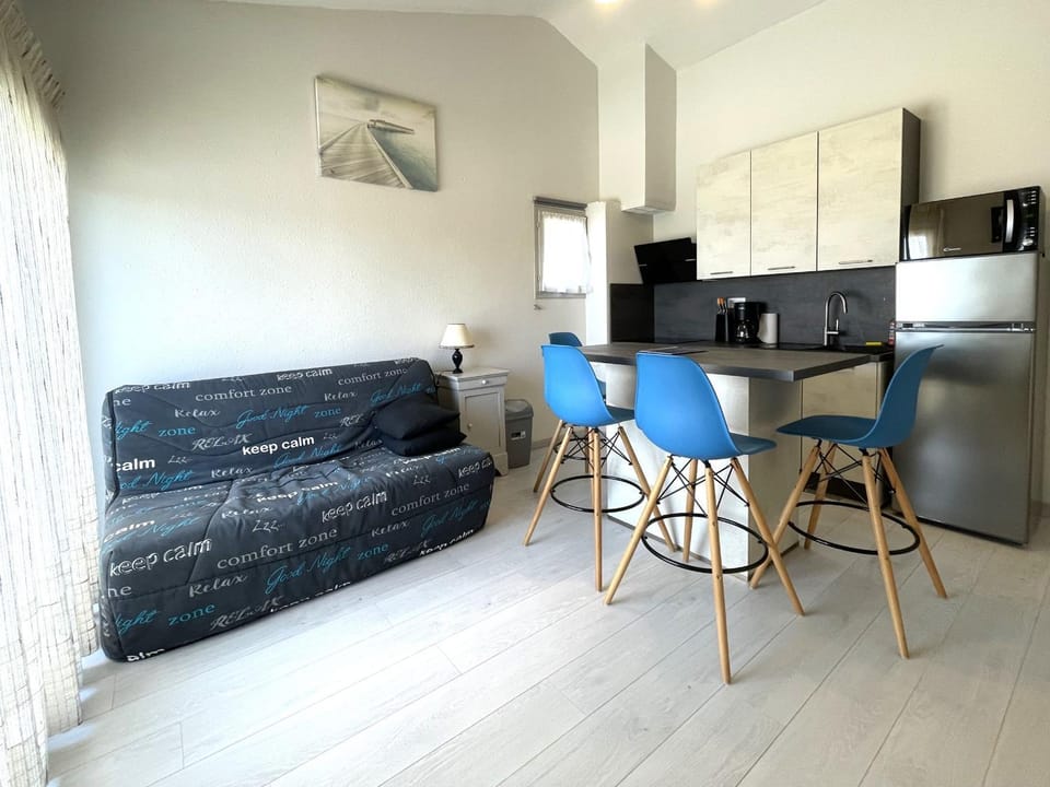 BANYULS-SUR-MER, T2 climatisé, terrasse, parking, proche crique - FR-1-309-235 Apartment in Alt Empordà