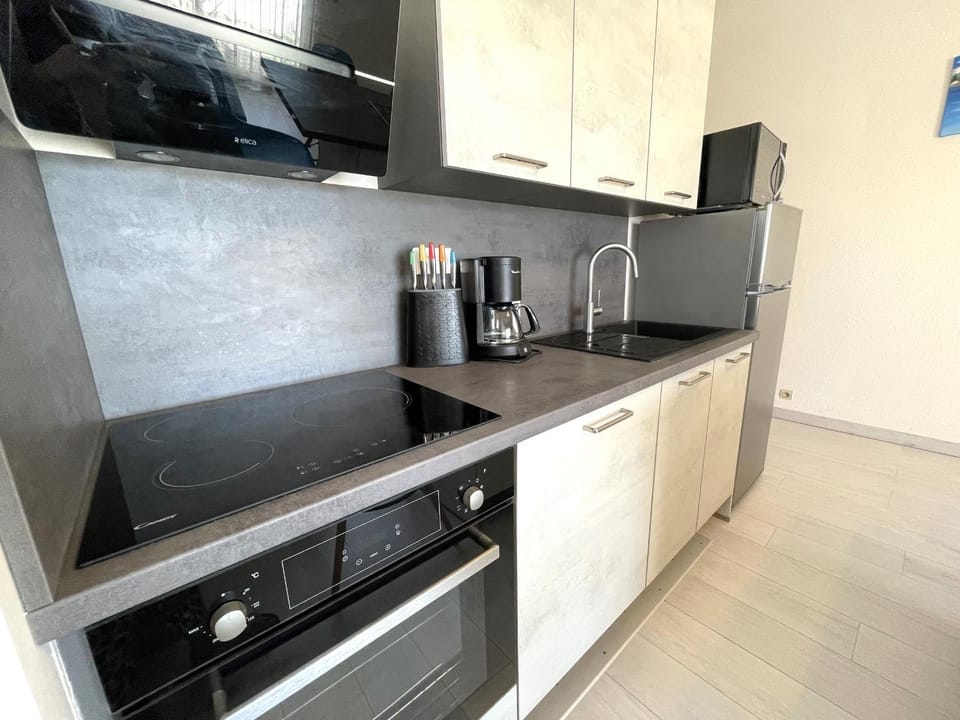 BANYULS-SUR-MER, T2 climatisé, terrasse, parking, proche crique - FR-1-309-235 Apartment in Alt Empordà