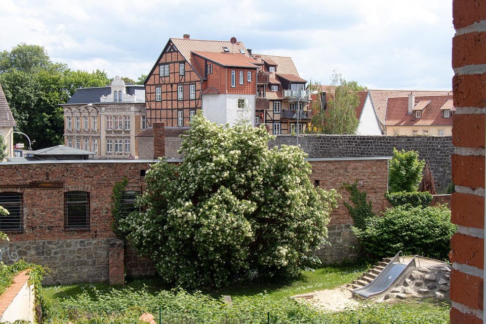 Garden view