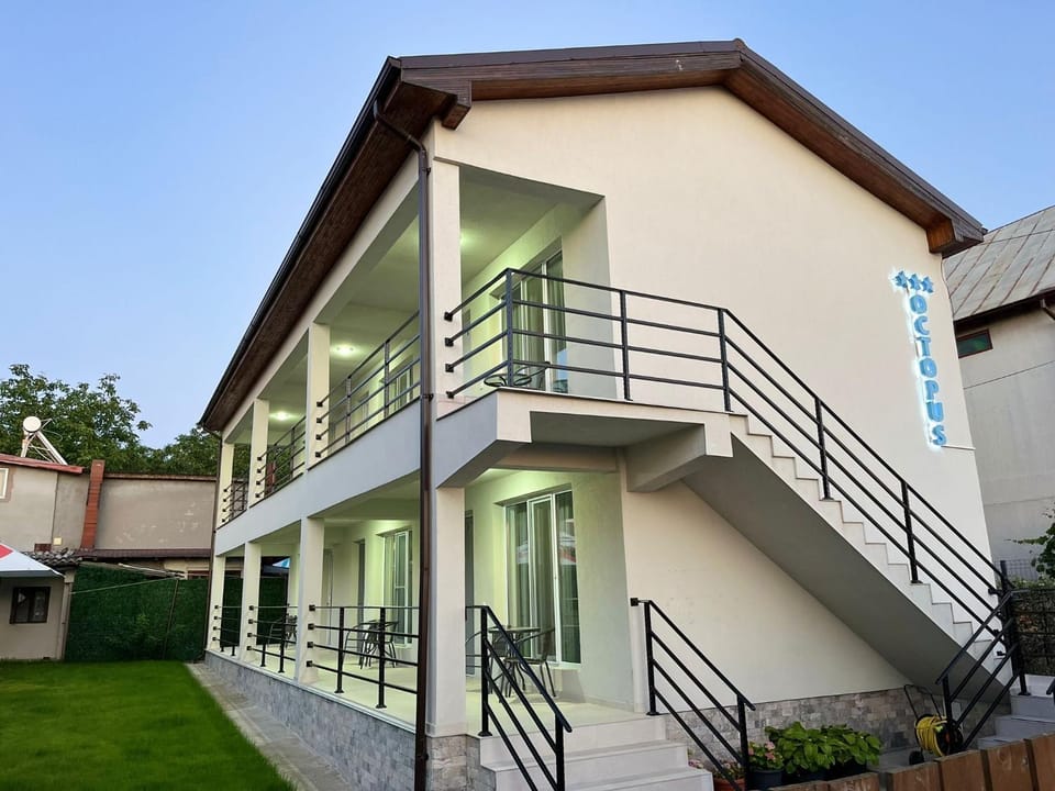 Vila Octopus Vacation rental in Constanța County
