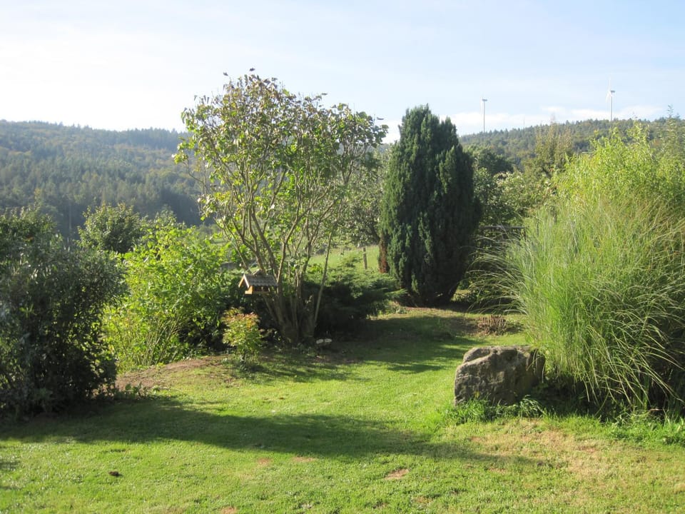 Natural landscape, Garden