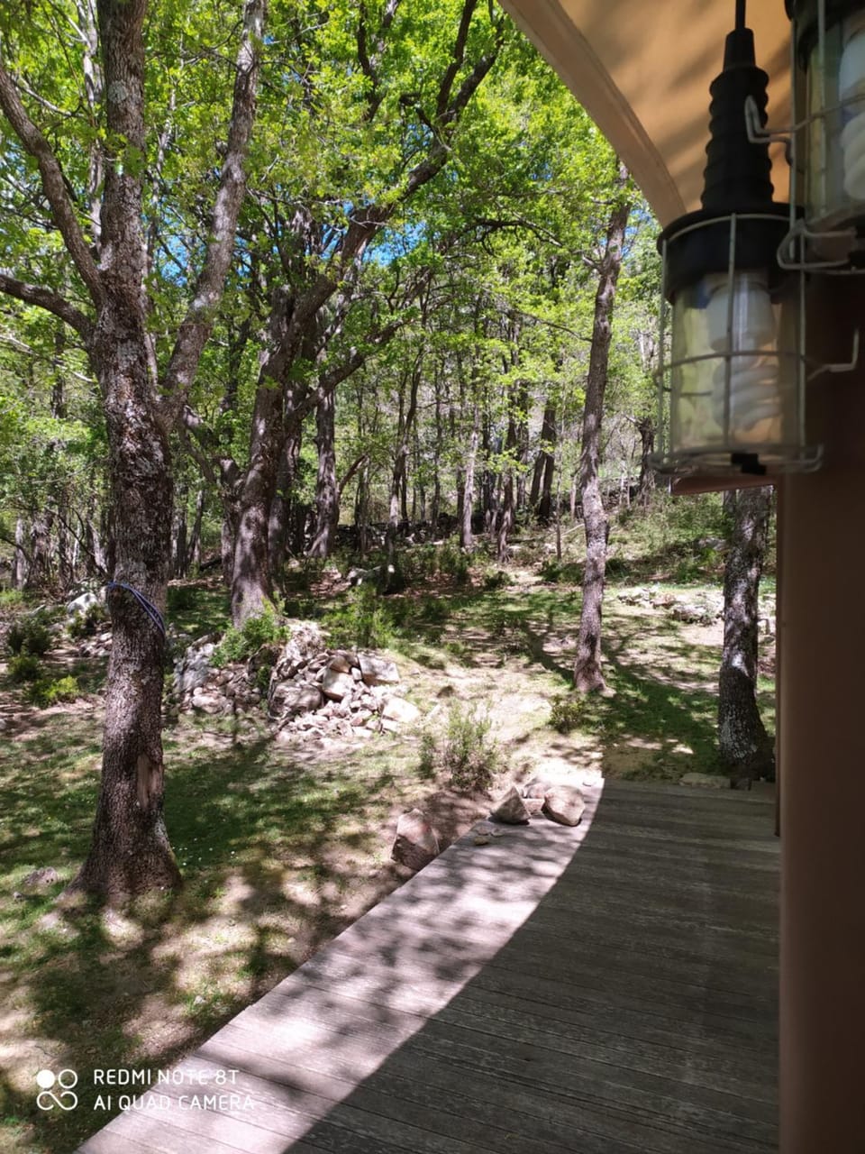 Day, Natural landscape, Garden, Garden view