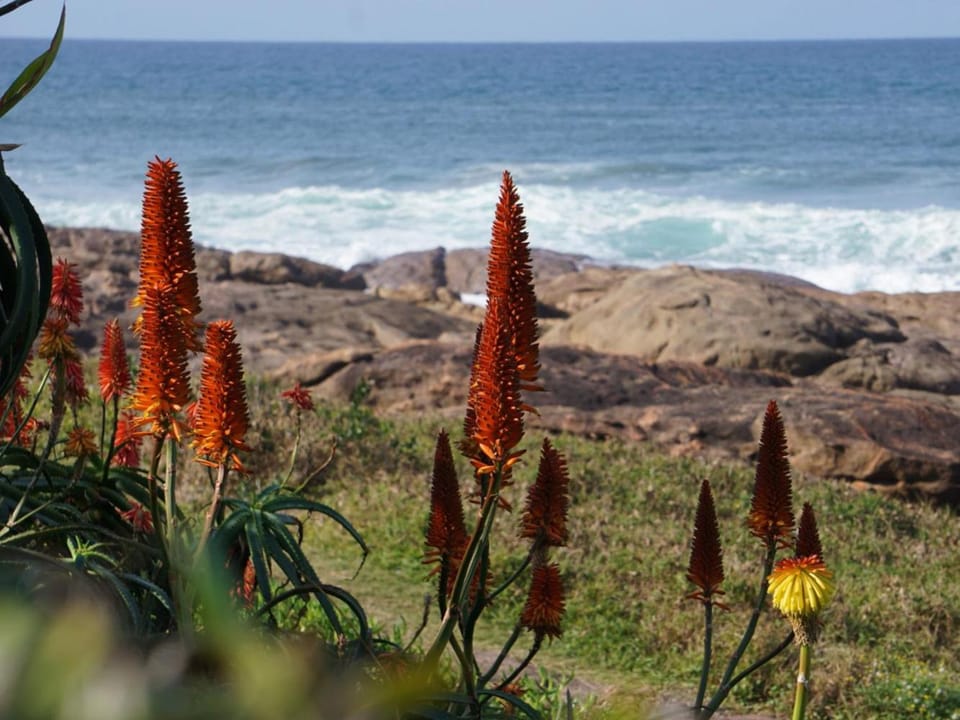Natural landscape