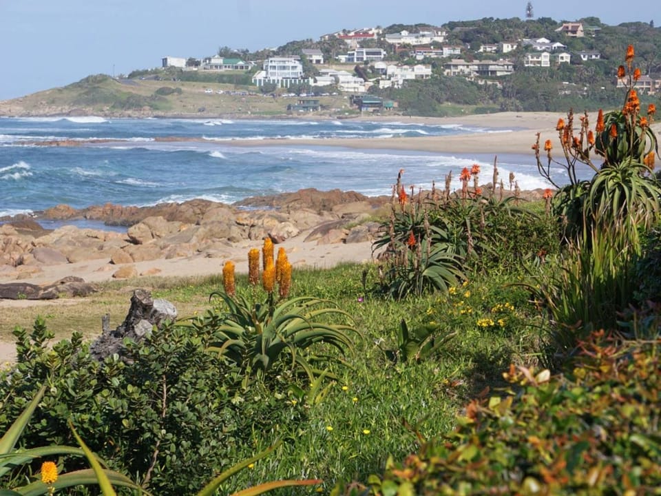 Nearby landmark, Beach