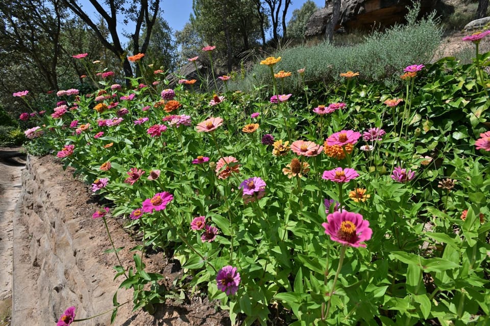 Spring, Off site, Garden, Garden view