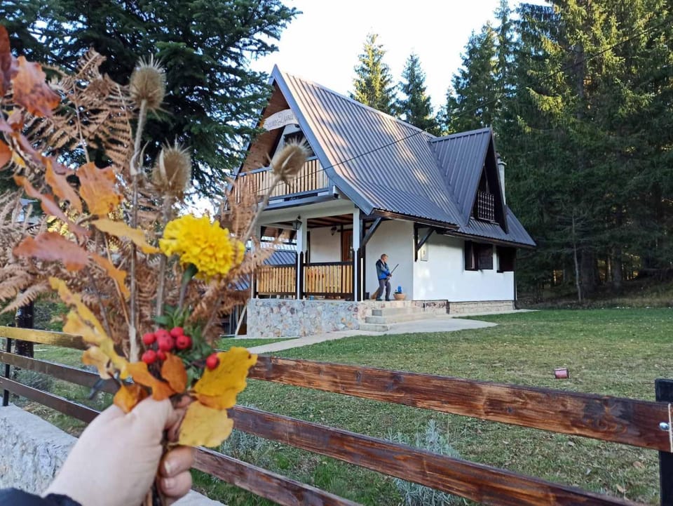 Vila Dunja Zlatar House in Zlatibor District, Serbia