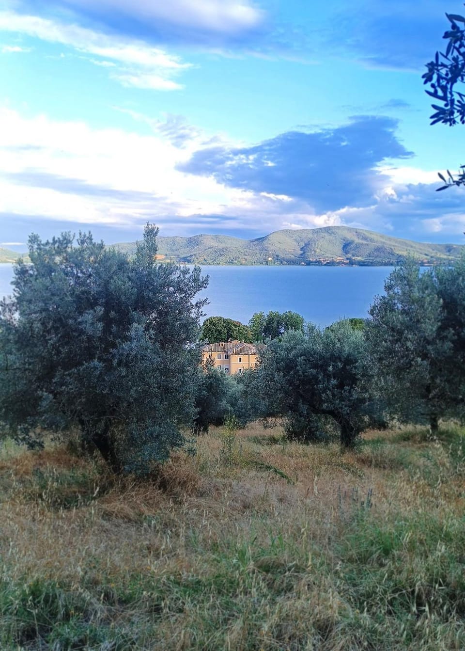 Nearby landmark, Natural landscape